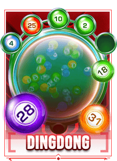 dingdong